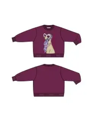 Hipper_crew_sweater_1