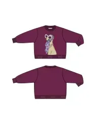 Hipper_crew_sweater_1